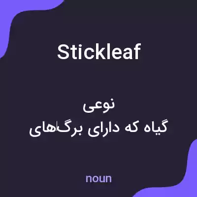 معنی stickleaf به فارسی معنی stickleaf به فارسی