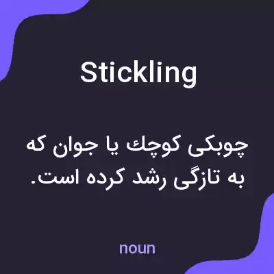 معنی stickling به فارسی معنی stickling به فارسی