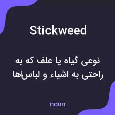معنی stickweed به فارسی معنی stickweed به فارسی