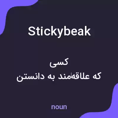 معنی stickybeak به فارسی معنی stickybeak به فارسی