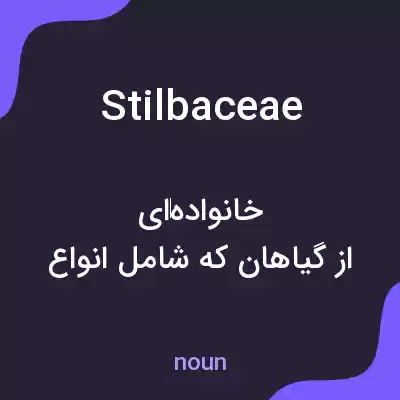 معنی stilbaceae به فارسی