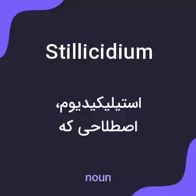 معنی stillicidium به فارسی معنی stillicidium به فارسی