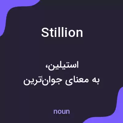 معنی stillion به فارسی معنی stillion به فارسی