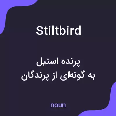 معنی stiltbird به فارسی معنی stiltbird به فارسی