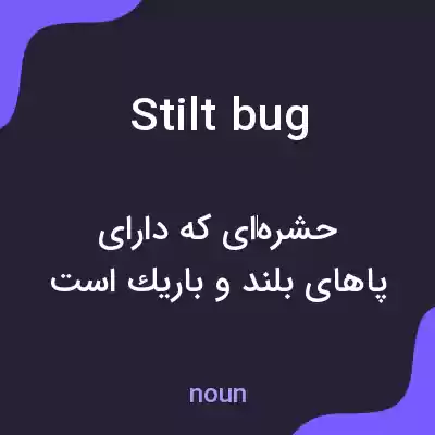 معنی stilt bug به فارسی معنی stilt bug به فارسی