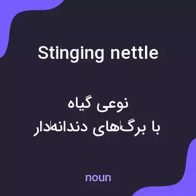 معنی stinging nettle به فارسی معنی stinging nettle به فارسی