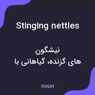 معنی stinging nettles به فارسی معنی stinging nettles به فارسی