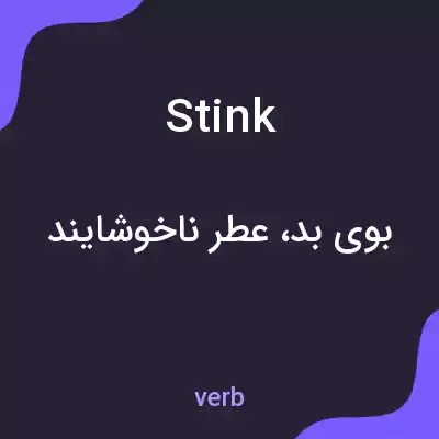 معنی stink به فارسی
