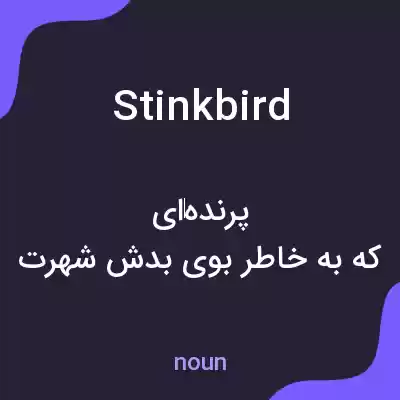 معنی stinkbird به فارسی معنی stinkbird به فارسی