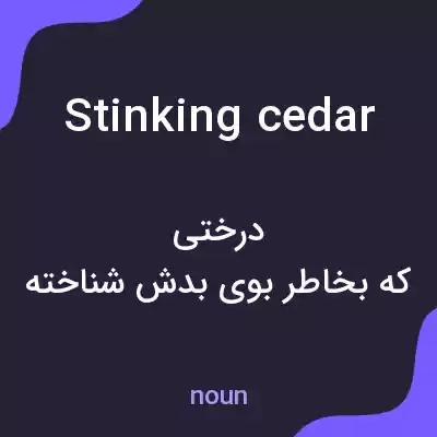معنی stinking cedar به فارسی معنی stinking cedar به فارسی
