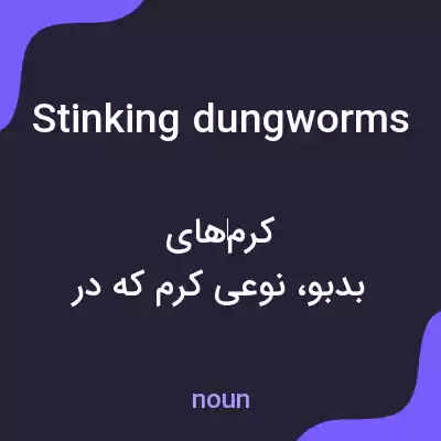 معنی stinking dungworms به فارسی معنی stinking dungworms به فارسی