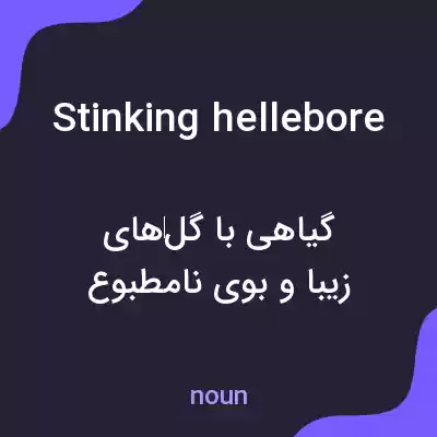 معنی stinking hellebore به فارسی معنی stinking hellebore به فارسی