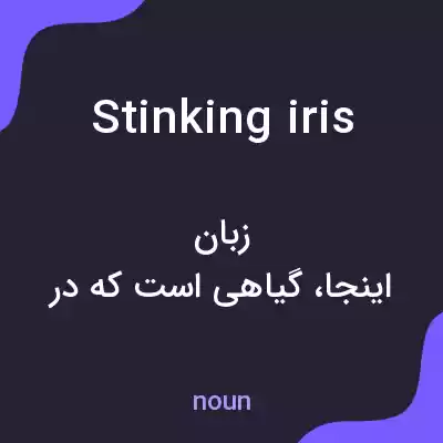 معنی stinking iris به فارسی معنی stinking iris به فارسی