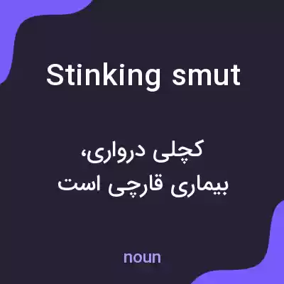 معنی stinking smut به فارسی معنی stinking smut به فارسی