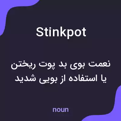 معنی stinkpot به فارسی معنی stinkpot به فارسی