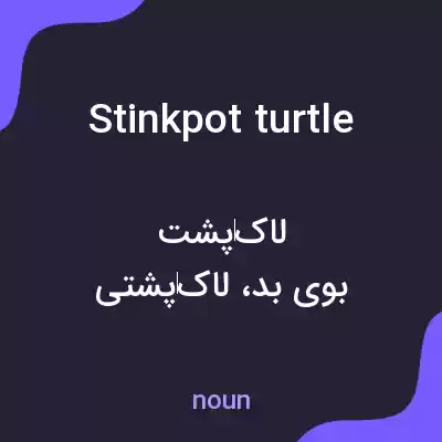 معنی stinkpot turtle به فارسی معنی stinkpot turtle به فارسی