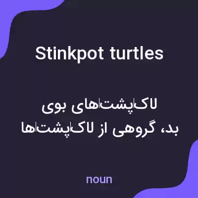 معنی stinkpot turtles به فارسی معنی stinkpot turtles به فارسی