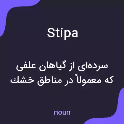 معنی stipa به فارسی