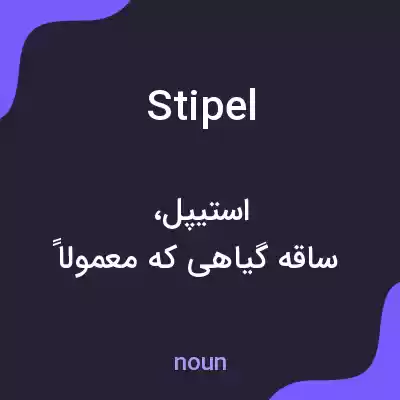معنی stipel به فارسی