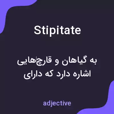 معنی stipitate به فارسی معنی stipitate به فارسی
