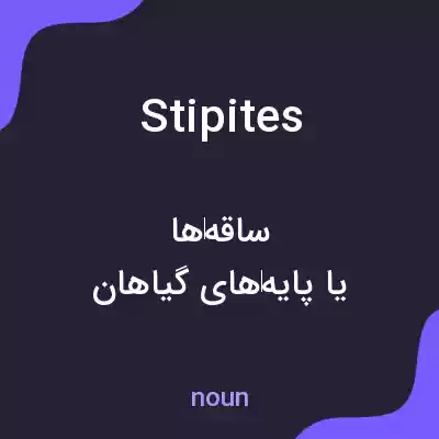 معنی stipites به فارسی