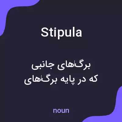 معنی stipula به فارسی معنی stipula به فارسی