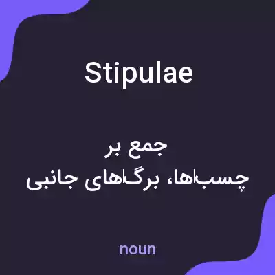 معنی stipulae به فارسی معنی stipulae به فارسی