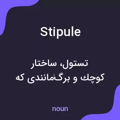 معنی stipule به فارسی معنی stipule به فارسی
