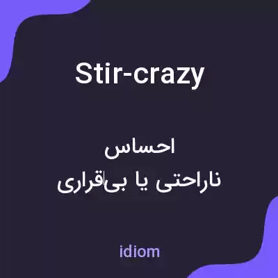 معنی stir-crazy به فارسی معنی stir-crazy به فارسی