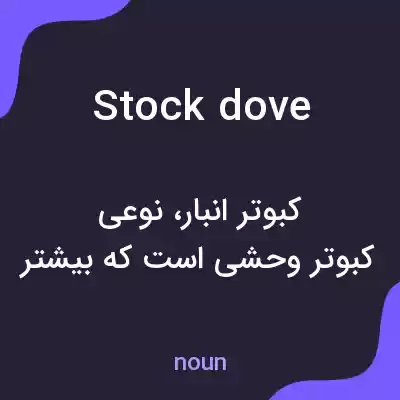 معنی stock dove به فارسی معنی stock dove به فارسی