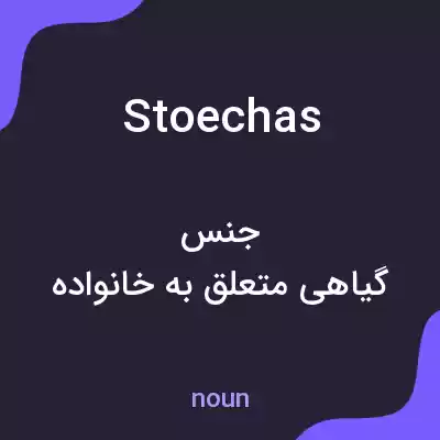 معنی stoechas به فارسی معنی stoechas به فارسی