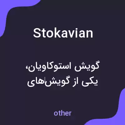 معنی stokavian به فارسی معنی stokavian به فارسی