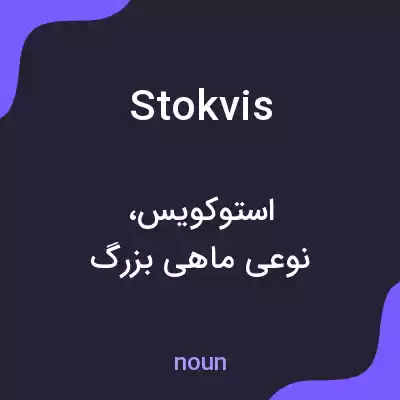 معنی stokvis به فارسی