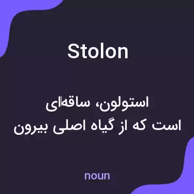 معنی stolon به فارسی