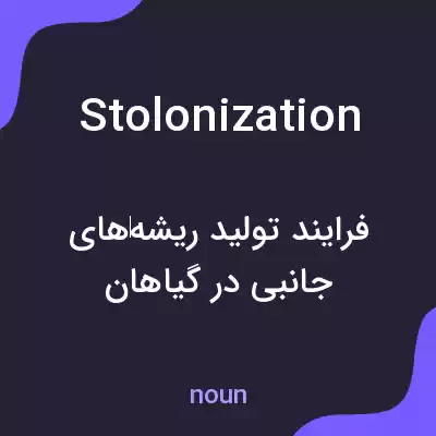 معنی stolonization به فارسی معنی stolonization به فارسی