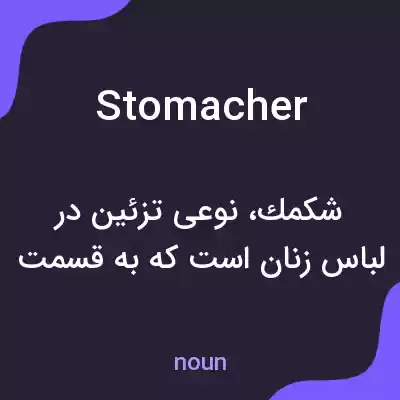معنی stomacher به فارسی معنی stomacher به فارسی