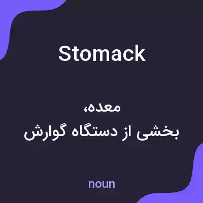 معنی stomack به فارسی معنی stomack به فارسی