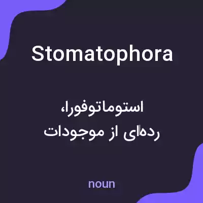معنی stomatophora به فارسی
