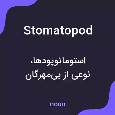 معنی stomatopod به فارسی