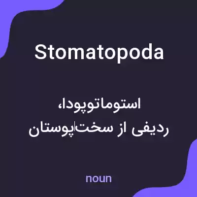 معنی stomatopoda به فارسی معنی stomatopoda به فارسی