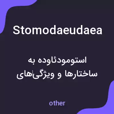 معنی stomodaeudaea به فارسی