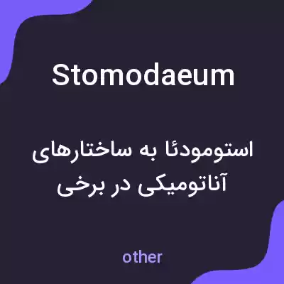 معنی stomodaeum به فارسی