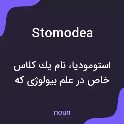 معنی stomodea به فارسی