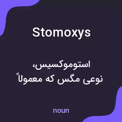 معنی stomoxys به فارسی