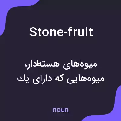 معنی stone-fruit به فارسی