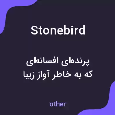 معنی stonebird به فارسی معنی stonebird به فارسی
