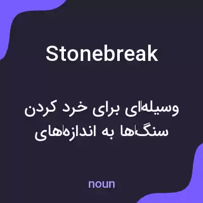 معنی stonebreak به فارسی
