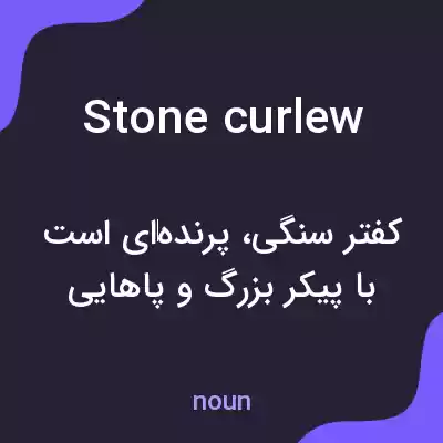 معنی stone curlew به فارسی معنی stone curlew به فارسی