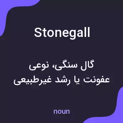 معنی stonegall به فارسی معنی stonegall به فارسی