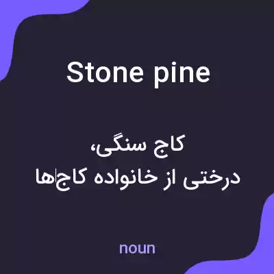 معنی stone pine به فارسی معنی stone pine به فارسی